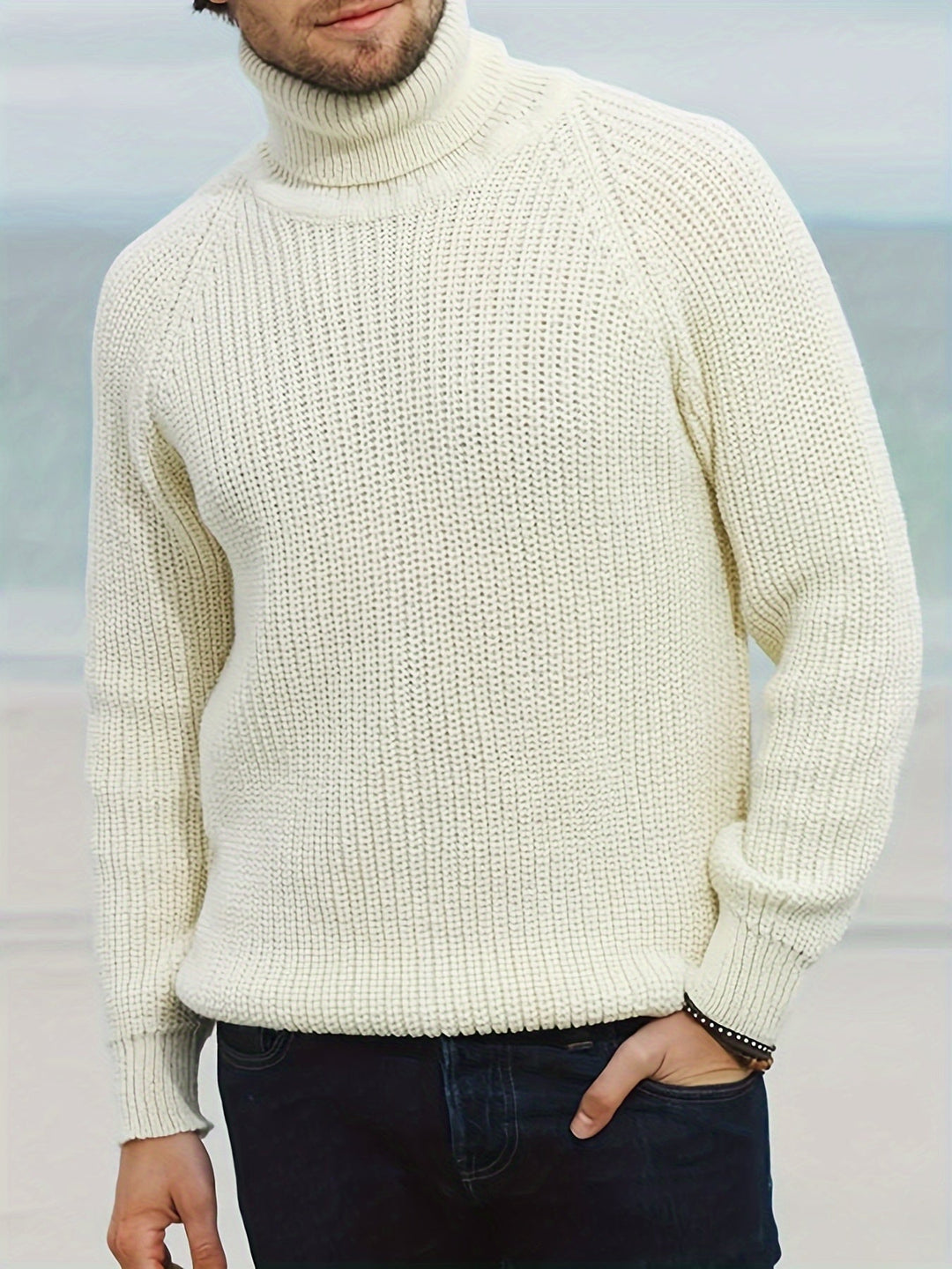 Mens Jumper Roll Neck Autumn Knit (2)