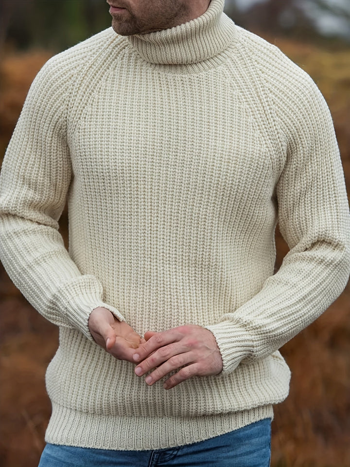Mens Jumper Roll Neck Autumn Knit (4)