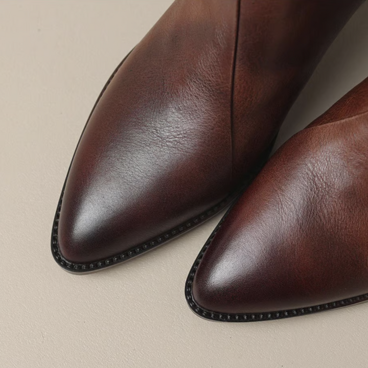 Women's Brown Boots with Low Heel (11)