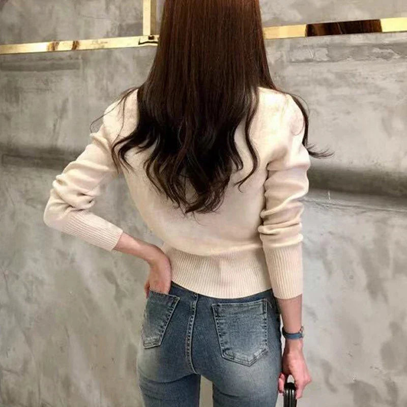 Women's Fine Knit Jumper Dress for Office (6)